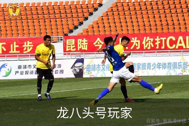 龙八头号玩家公司简介
